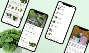 Case study: Help people grow houseplants successfully using a mobile app